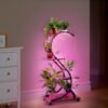 Plant Stand Indoor with Grow Lights, 4 Tiered 31" Plant Shelf, Metal Wood Plant Stands for Indoor Plants, Flower Pot Display Shelves, Wireless Design, S-Shaped Plant Rack for Home, Patio