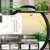 Plant Stand with Grow Light, 4-Tiered Metal Plant Shelf Indoor, 31'' Plant Stands for Indoor Plants Multiple, Flower Stands for Indoor Plants Living Room, Patio, Four Adjustable Feet
